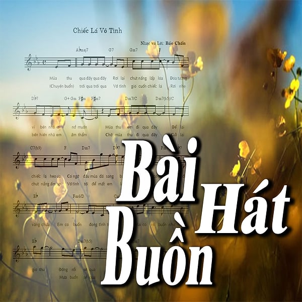 Vân Quang Long