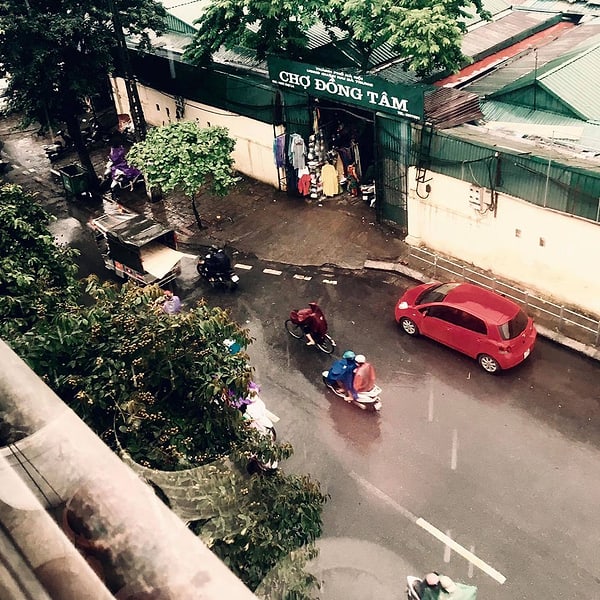 Vương Cây