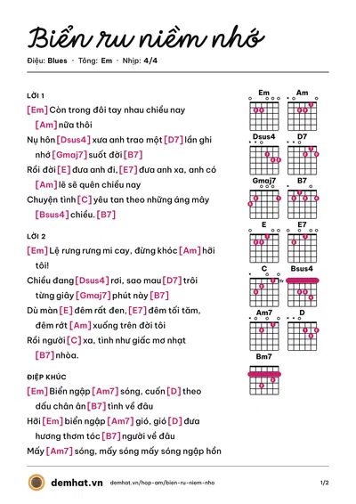 Hợp âm Biển ru niềm nhớ (Ái Vân) – bản nhạc PDF trang 1, tông Em