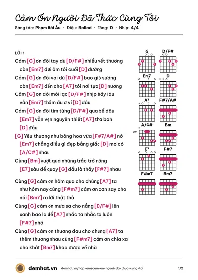 Hợp âm Cảm Ơn Người Đã Thức Cùng Tôi (Phùng Khánh Linh) – bản nhạc PDF trang 1, tông D