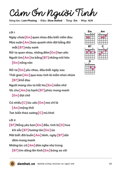 Hợp âm Cảm Ơn Người Tình (Lều Phương Anh) – bản nhạc PDF trang 1, tông Em
