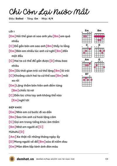 Hợp âm Chỉ Còn Lại Nước Mắt (Hồ Quang Hiếu) – bản nhạc PDF trang 1, tông Em