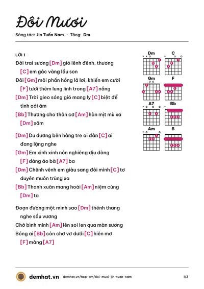 Hợp âm Đôi Mươi (Jin Tuấn Nam) – bản nhạc PDF trang 1, tông Dm
