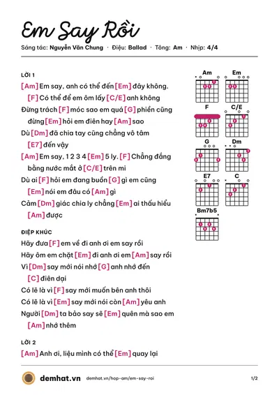 Hợp âm Em Say Rồi (Thương Võ) – bản nhạc PDF trang 1, tông Am