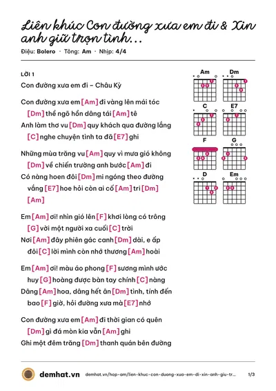 Hợp âm Liên khúc Con đường xưa em đi & Xin anh giữ trọn tình quê (Trường Vũ) – bản nhạc PDF trang 1, tông Am