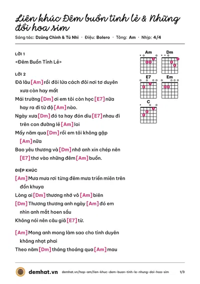 Hợp âm Liên khúc Đêm buồn tỉnh lẻ & Những đồi hoa sim (Đan Nguyên) – bản nhạc PDF trang 1, tông Am
