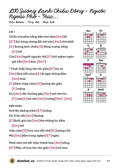 Hợp âm LK Sương Lạnh Chiều Đông - Người Ngoài Phố - Hai Mùa Mưa (Lệ Quyên) – bản nhạc PDF trang 1, tông Am