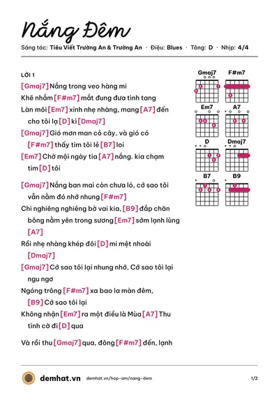 Hợp âm Nắng Đêm (Phan Đức Trí) – bản nhạc PDF trang 1, tông D
