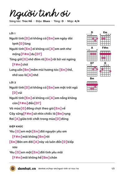 Hợp âm Người tình ơi (Trúc Hồ) – bản nhạc PDF trang 1, tông D