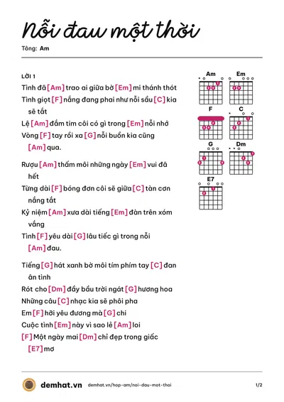 Hợp âm Nỗi đau một thời (Don Hồ) – bản nhạc PDF trang 1, tông Am