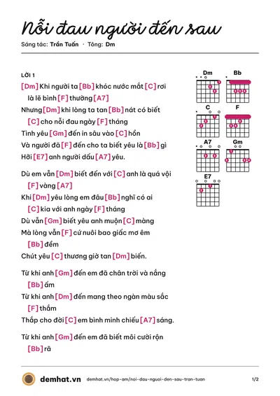 Hợp âm Nỗi đau người đến sau (Tuyết Mai) – bản nhạc PDF trang 1, tông Dm