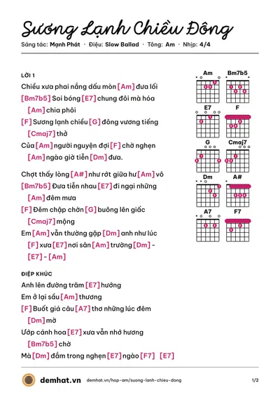 Hợp âm Sương Lạnh Chiều Đông (Lệ Quyên) – bản nhạc PDF trang 1, tông Am