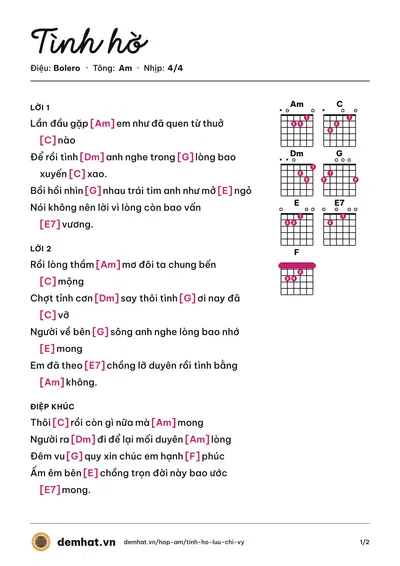 Hợp âm Tình hờ (Lưu Chí Vỹ) – bản nhạc PDF trang 1, tông Am