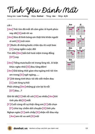 Hợp âm Tình Yêu Đánh Mất (Lam Trường) – bản nhạc PDF trang 1, tông Am