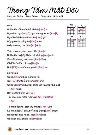 Hợp âm Trong Tầm Mắt Đời (Đan Nguyên) – bản nhạc PDF trang 1, tông Am