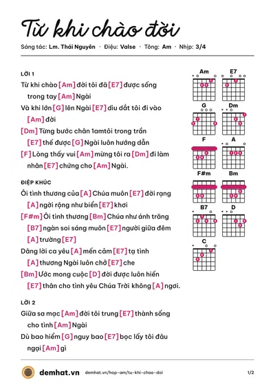 Hợp âm Từ khi chào đời (Lm. Thái Nguyên) – bản nhạc PDF trang 1, tông Am