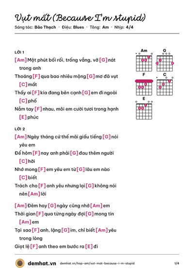 Hợp âm Vụt mất (Because I’m stupid) (SS501) – bản nhạc PDF trang 1, tông Am