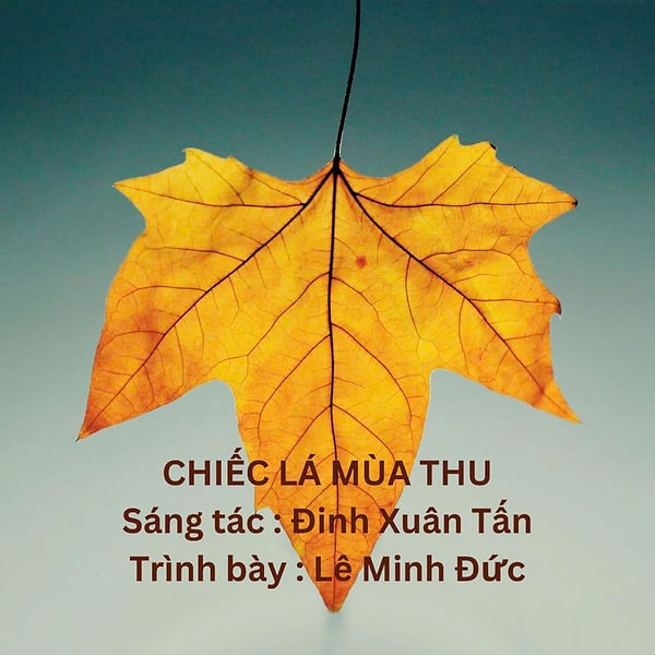 Đinh Xuân Tấn